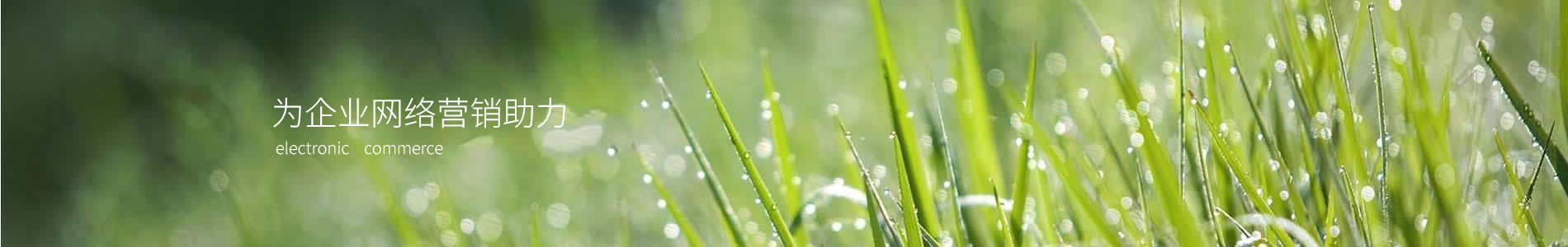 ؽܶ޹˾